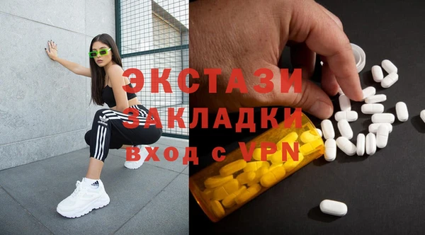 стаф Данков