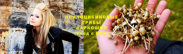 спайс Алексеевка