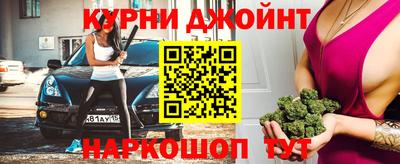 прущие грибы Гатчина