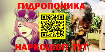 прущие грибы Гатчина