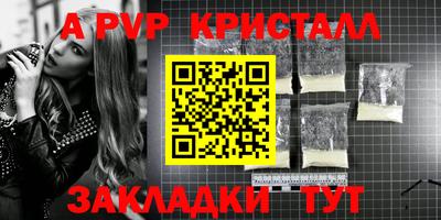 прущие грибы Гатчина