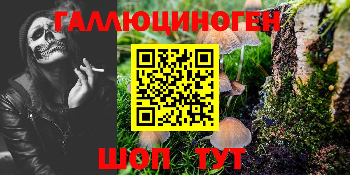 Псилоцибиновые грибы прущие грибы  Псилоцибиновые грибы Cubensis  Вход с VPN  Кимры 
