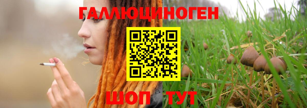 Псилоцибиновые грибы мухоморы Кимры
